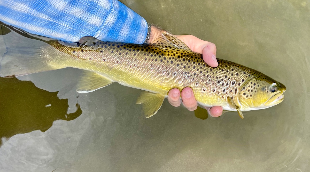 North Renegade Ranch property picture 55 of 78