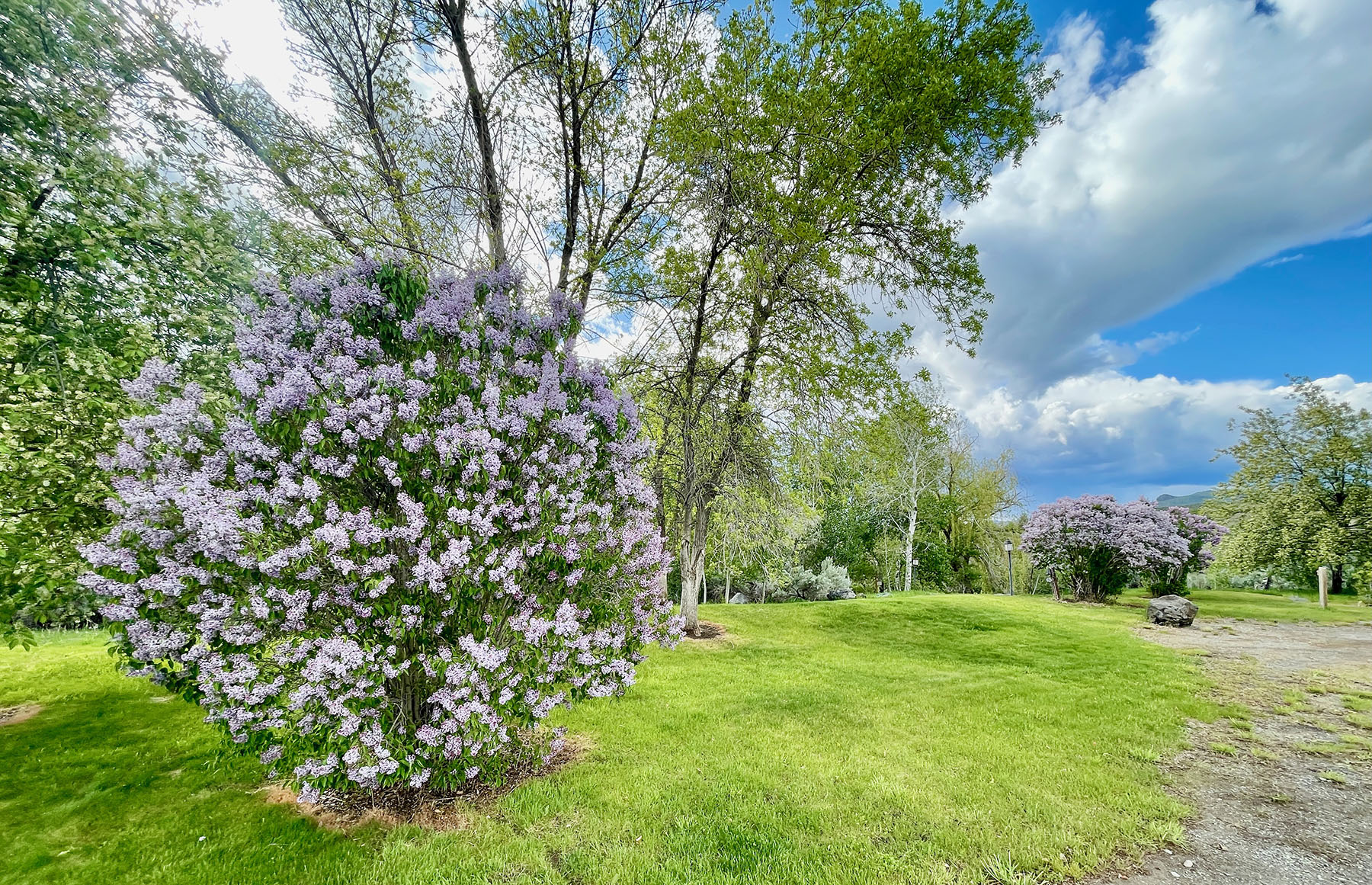 North Renegade Ranch property picture 77 of 78