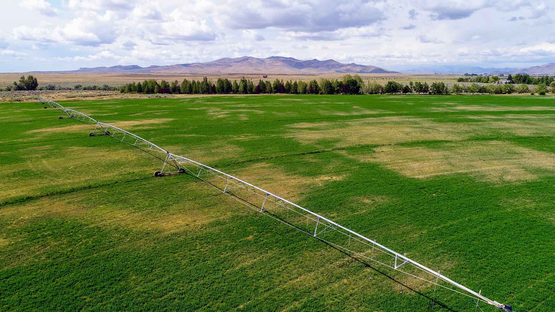 North Renegade Ranch property picture 7 of 78