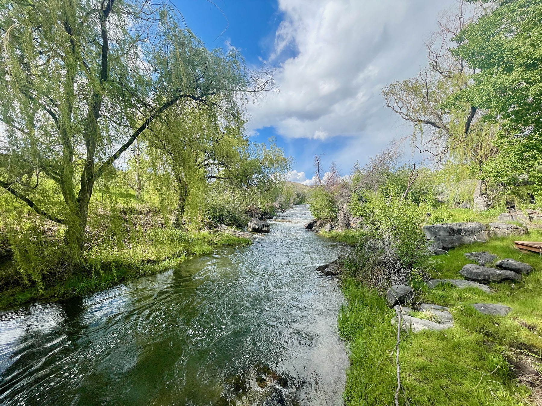 North Renegade Ranch property picture 75 of 78
