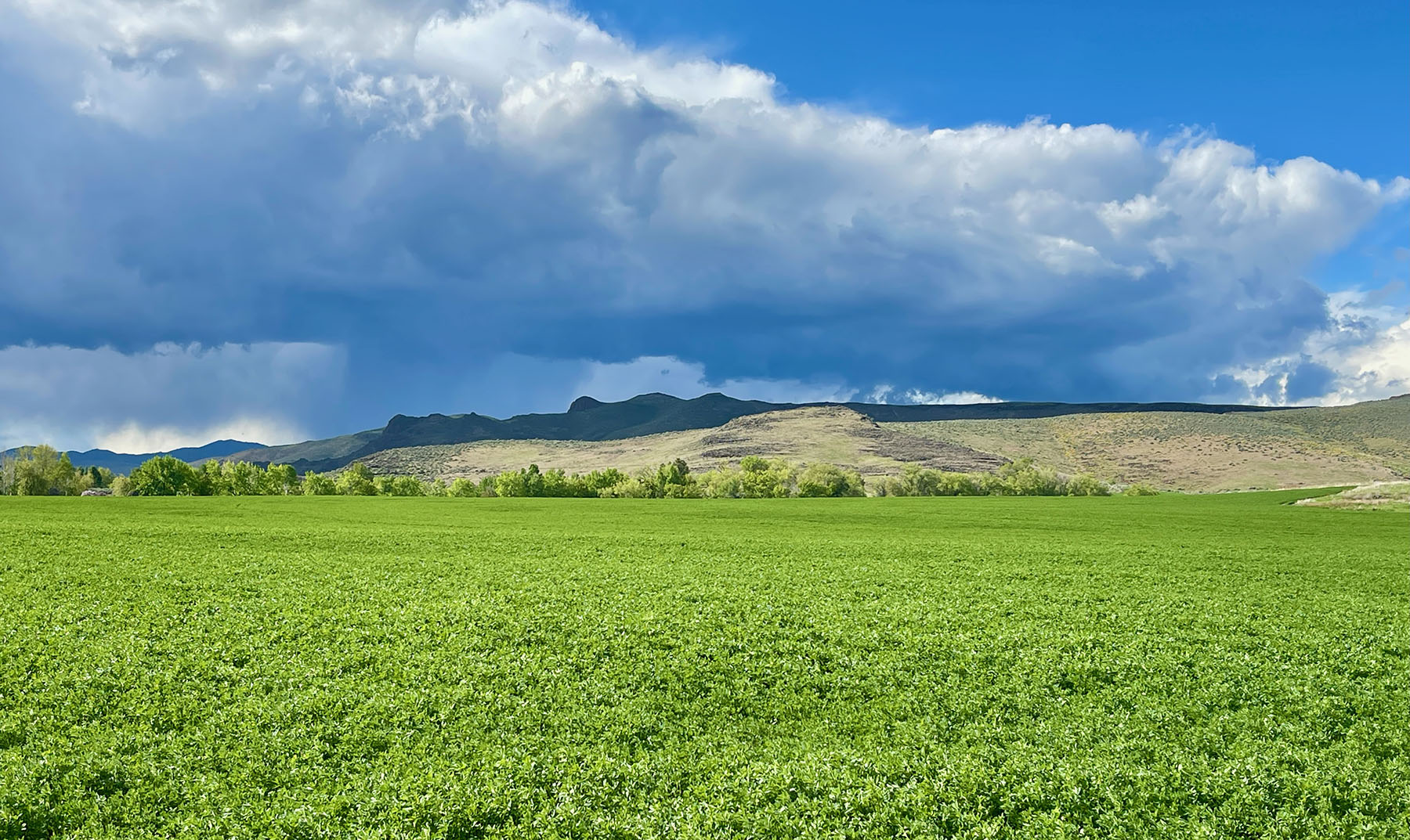North Renegade Ranch property picture 78 of 78