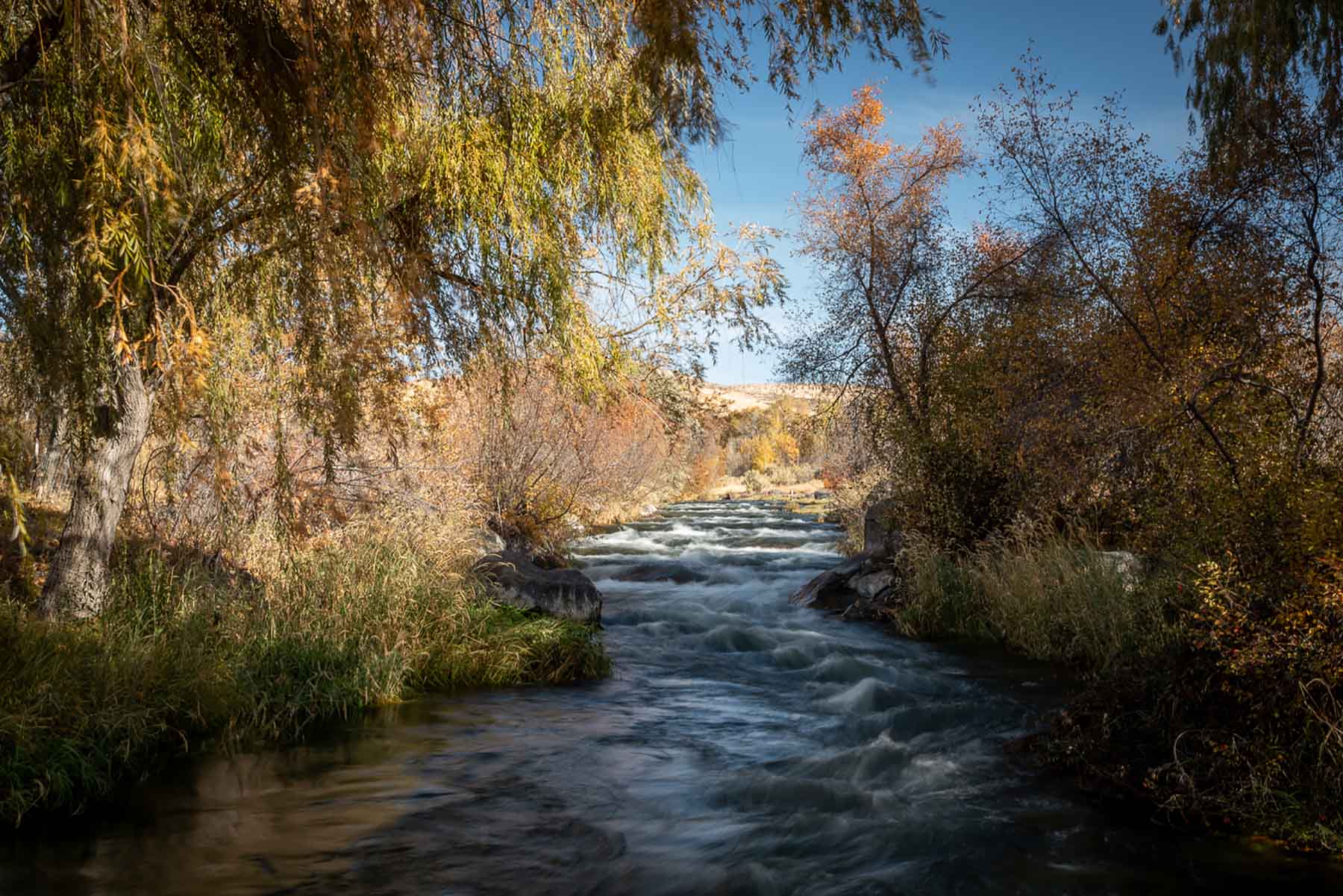 North Renegade Ranch property picture 28 of 78