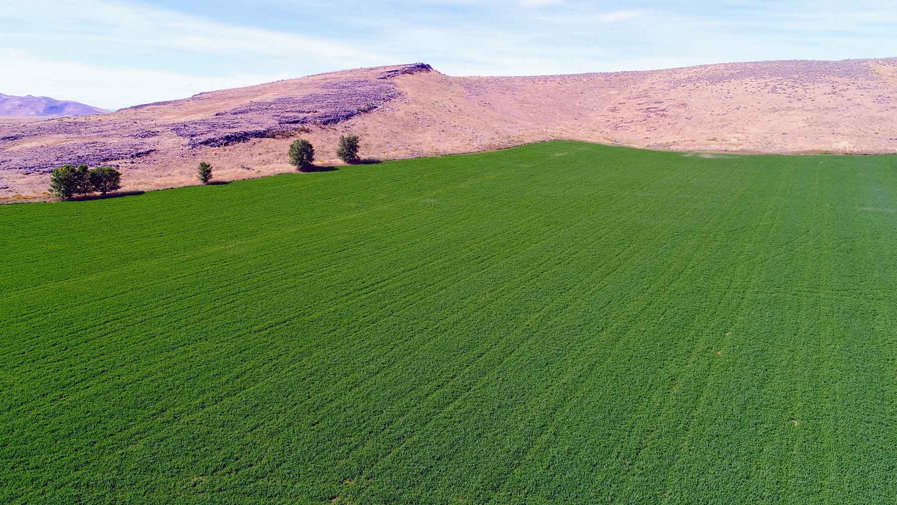 North Renegade Ranch property picture 41 of 78