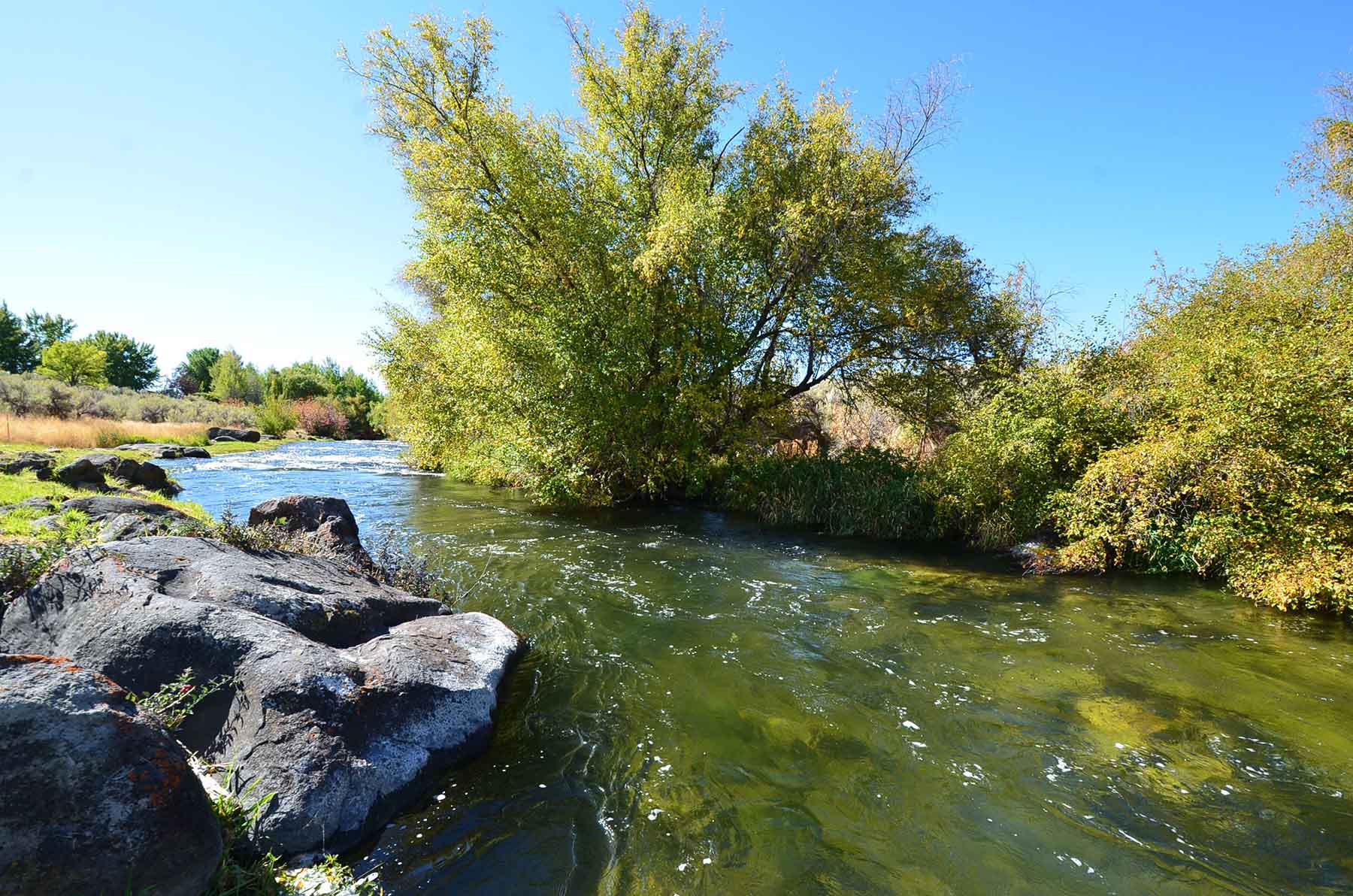 North Renegade Ranch property picture 32 of 78