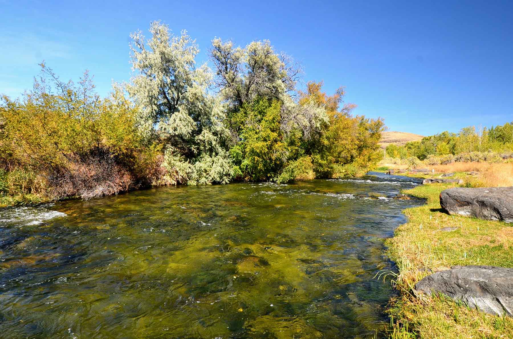 North Renegade Ranch property picture 30 of 78