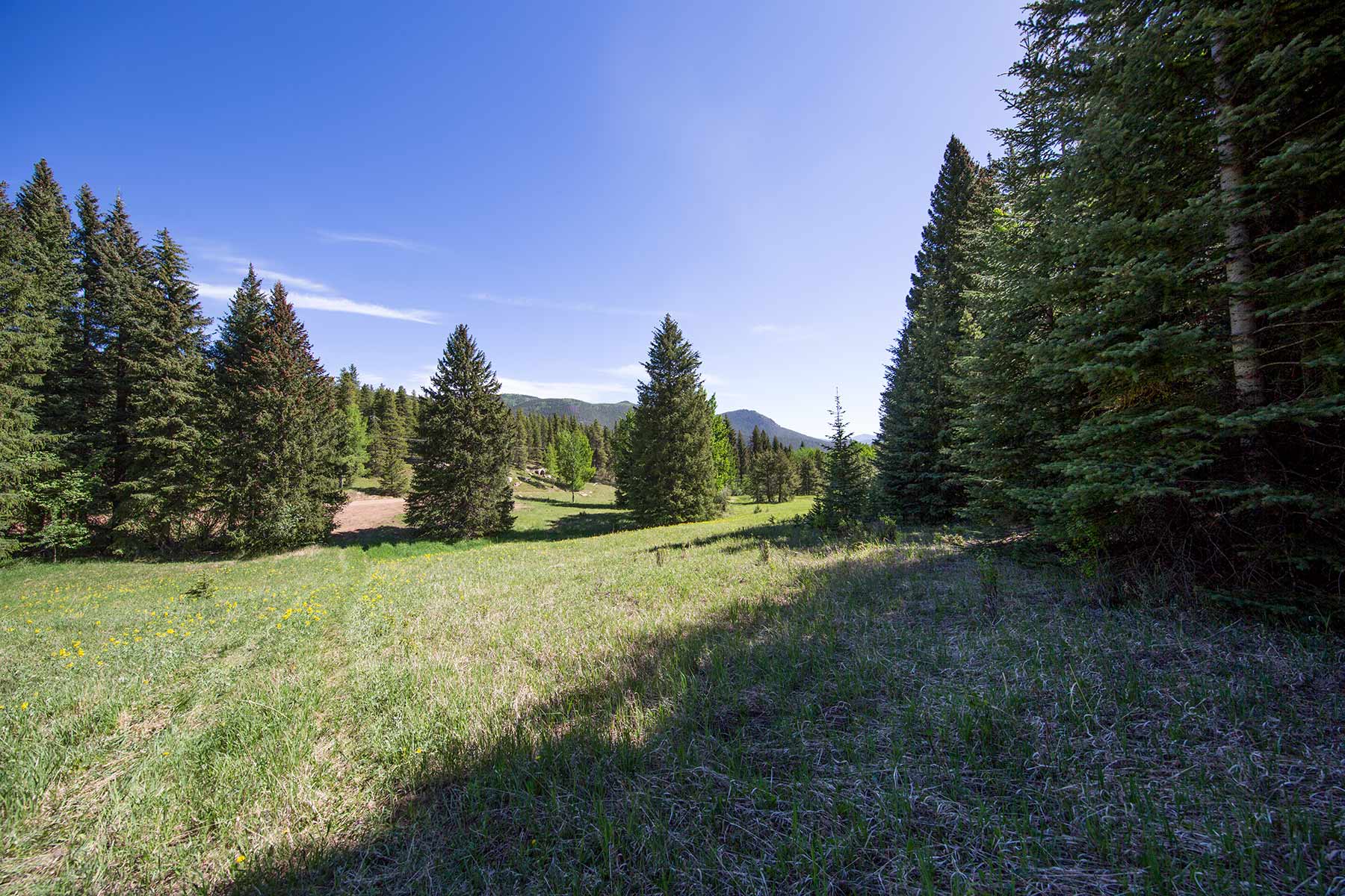 Cascade Ranch Sold Colorado Hall and Hall