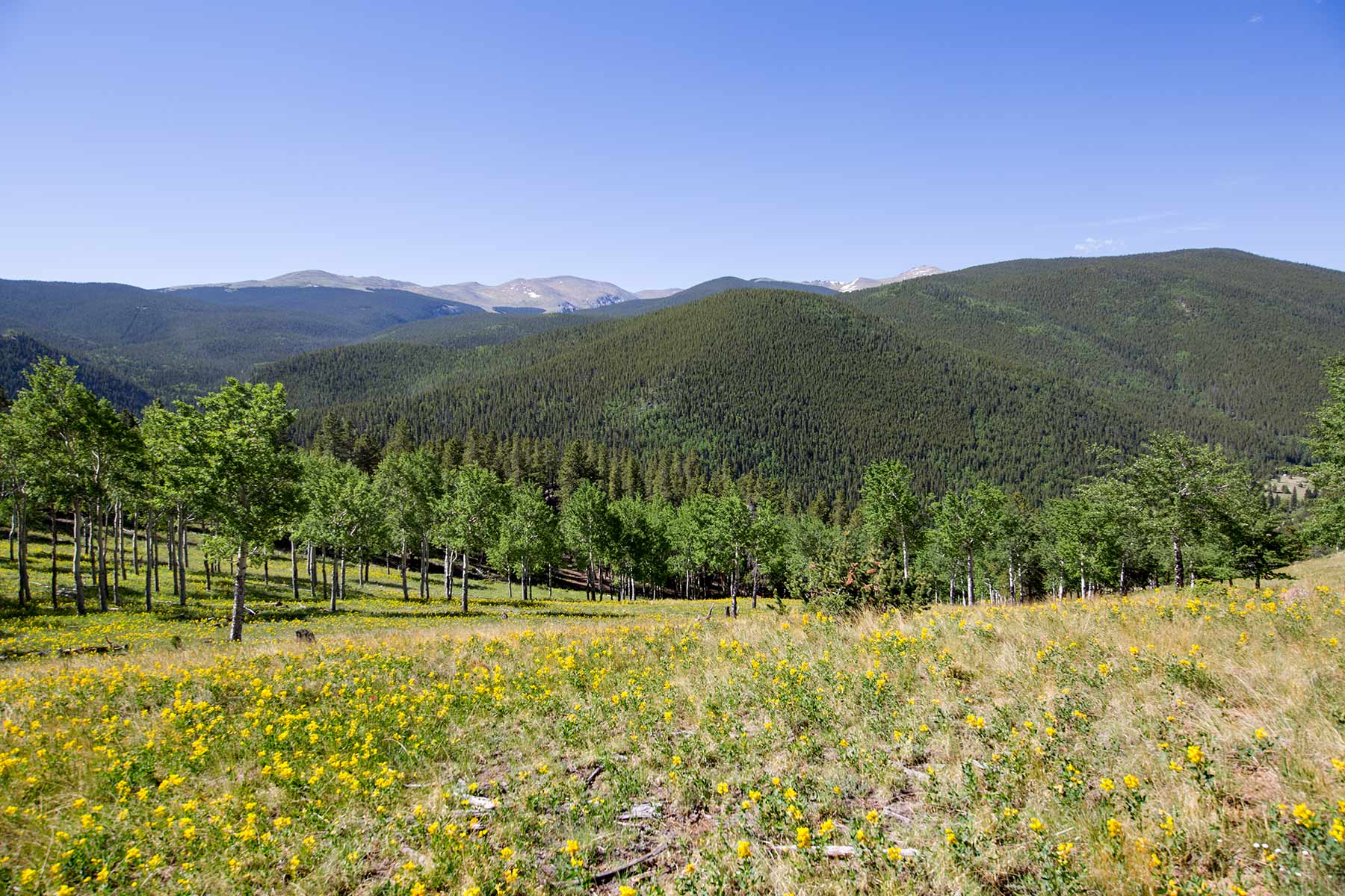 Cascade Ranch property picture 16 of 25