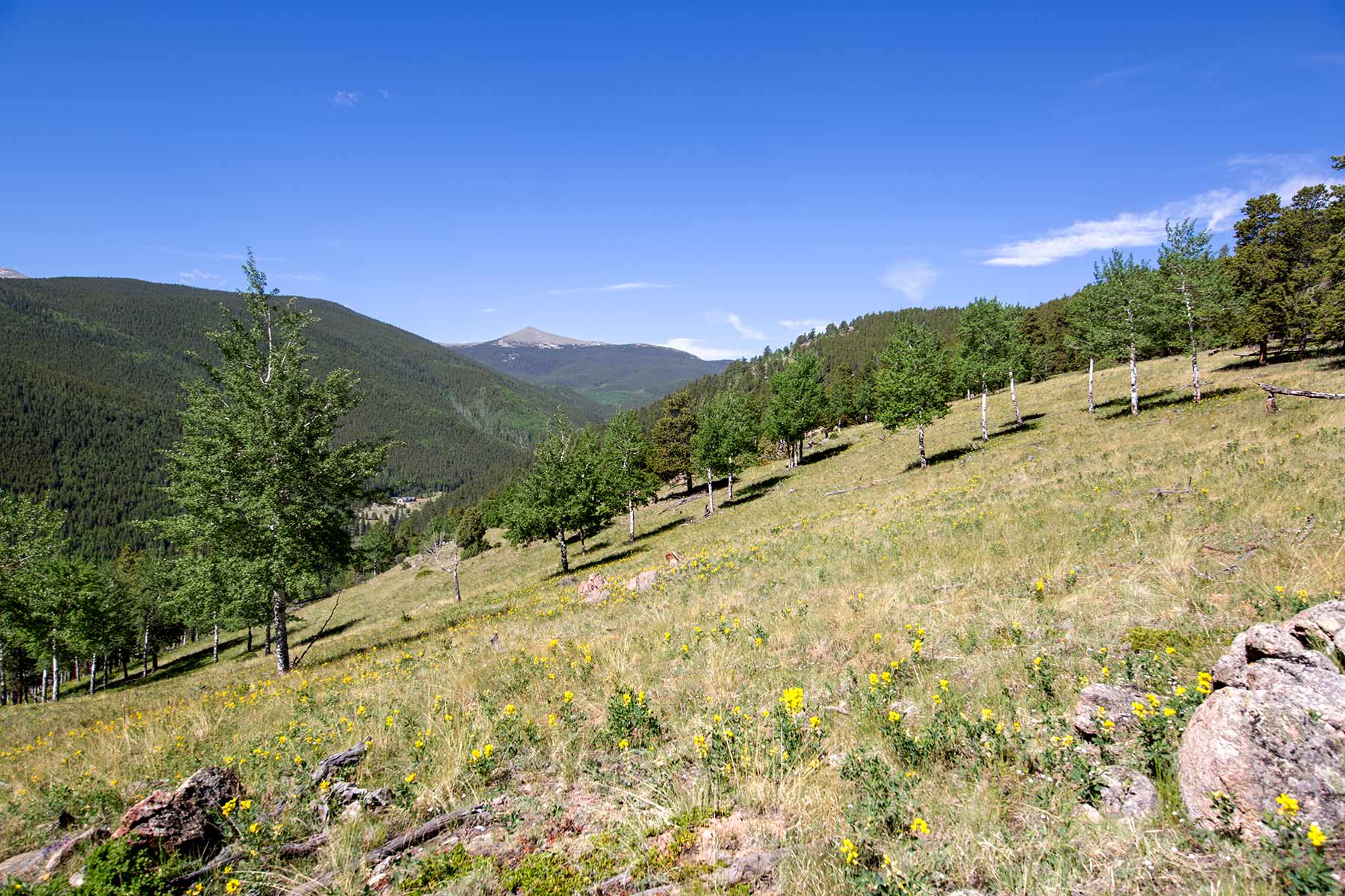 Cascade Ranch property picture 17 of 25