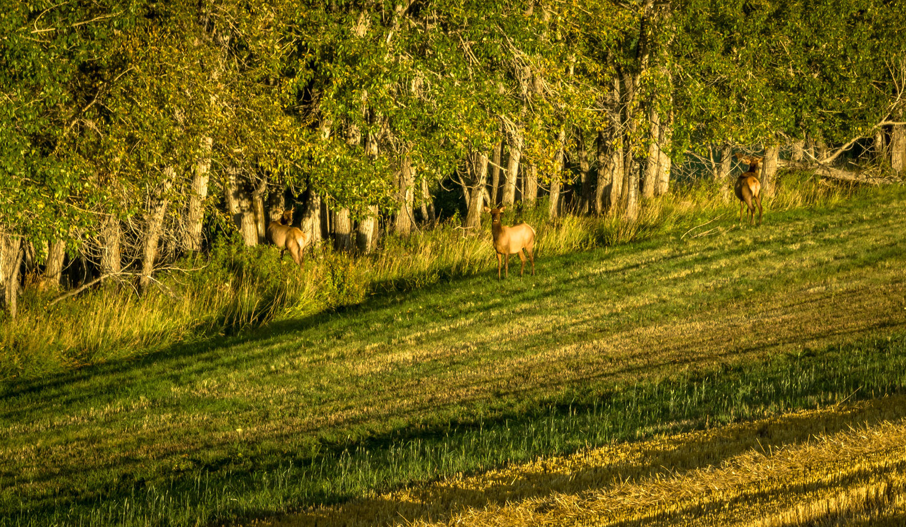 Kent Spur Ranch property picture 14 of 44
