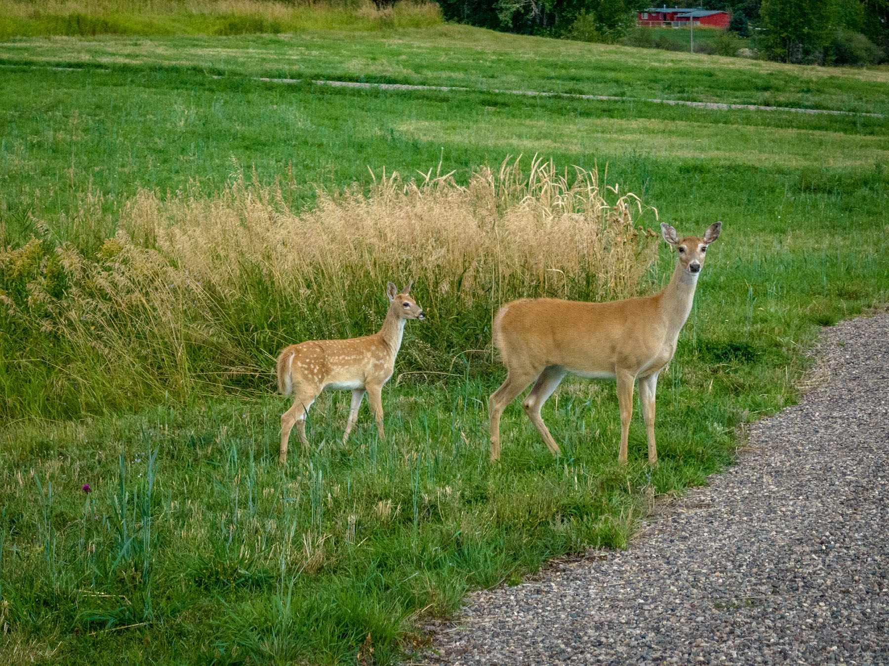 Kent Spur Ranch property picture 18 of 44