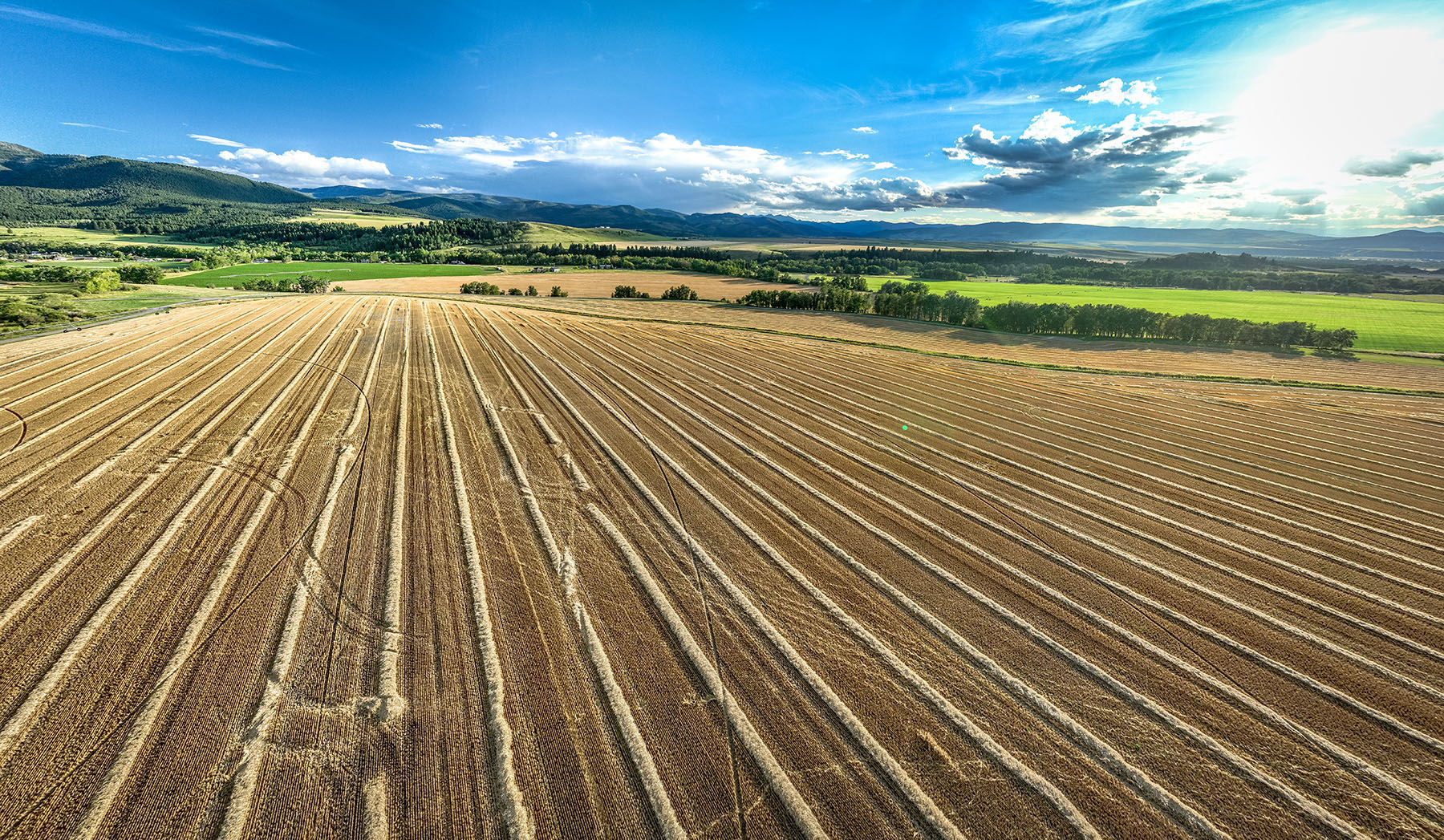Kent Spur Ranch property picture 20 of 44