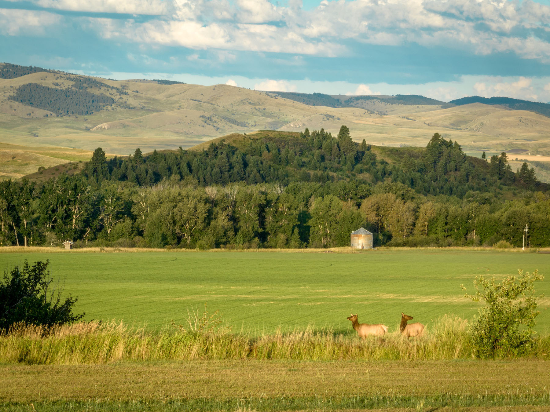 Kent Spur Ranch property picture 15 of 44
