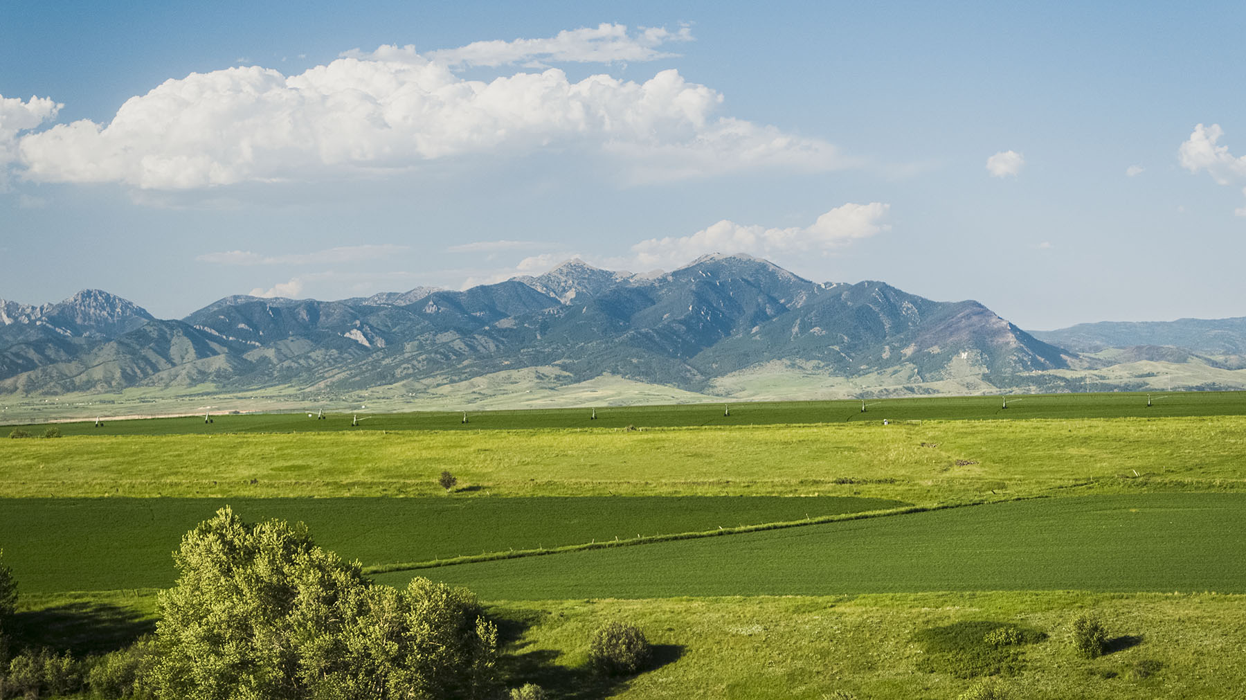 Kent Spur Ranch property picture 44 of 44