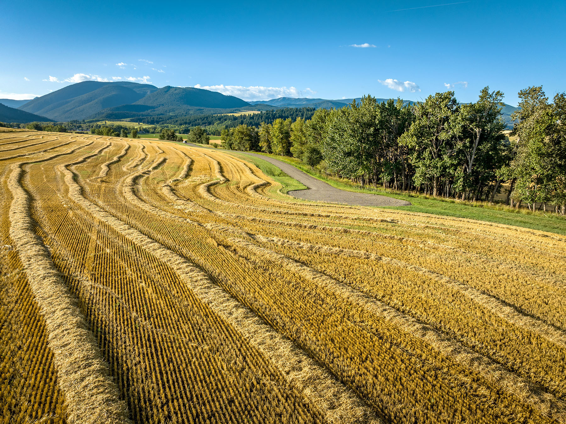 Kent Spur Ranch property picture 24 of 44