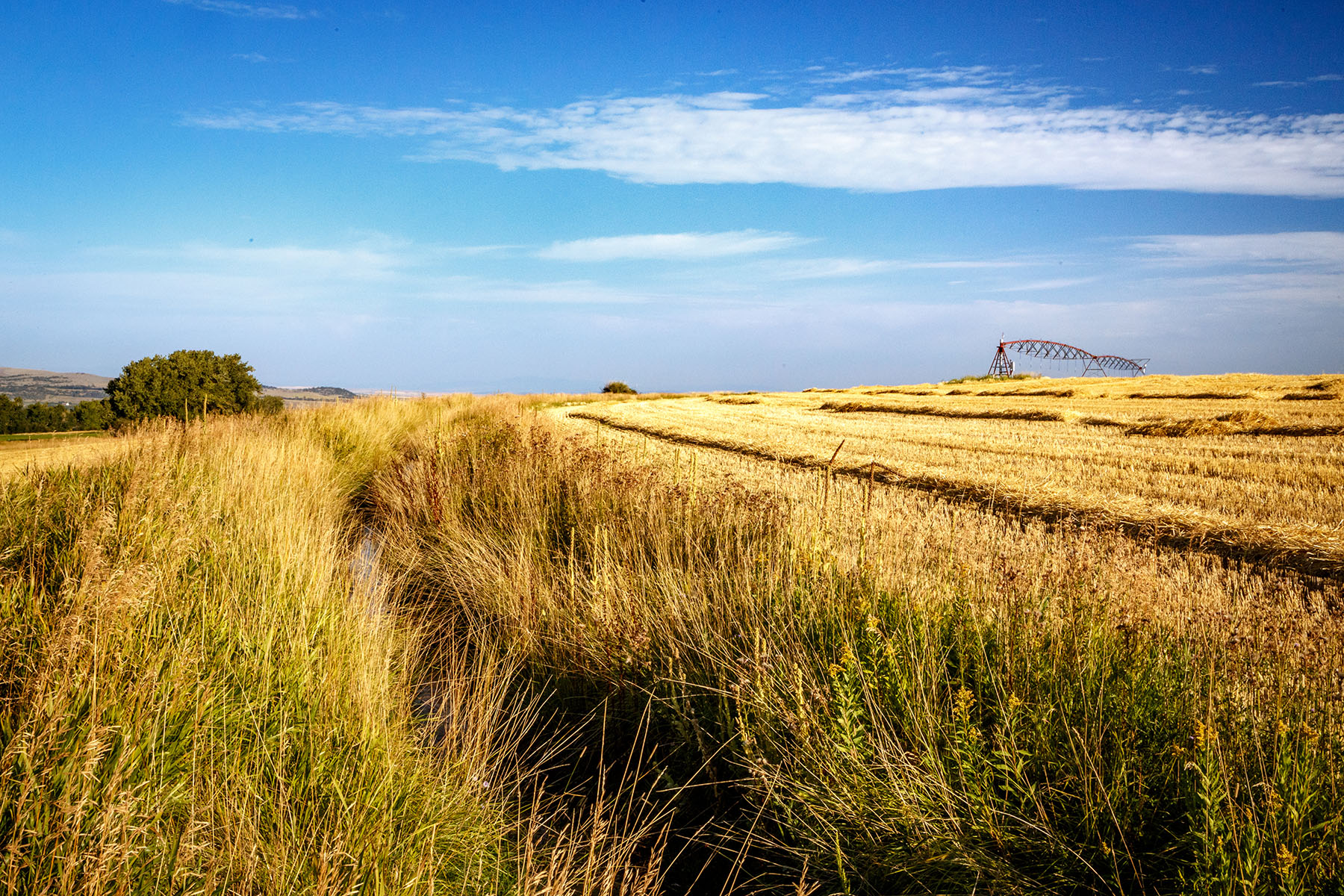 Kent Spur Ranch property picture 41 of 44