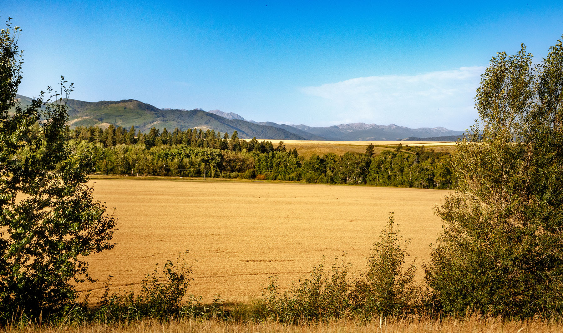 Kent Spur Ranch property picture 38 of 44