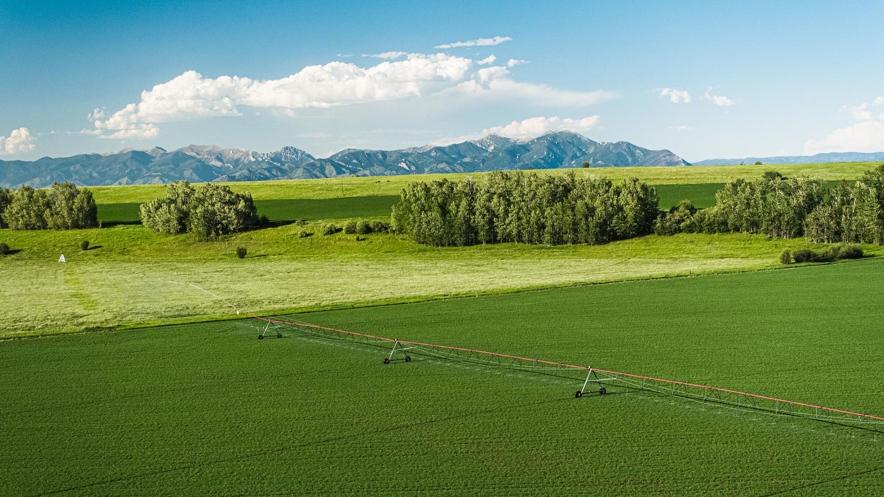 Kent Spur Ranch property picture 3 of 44