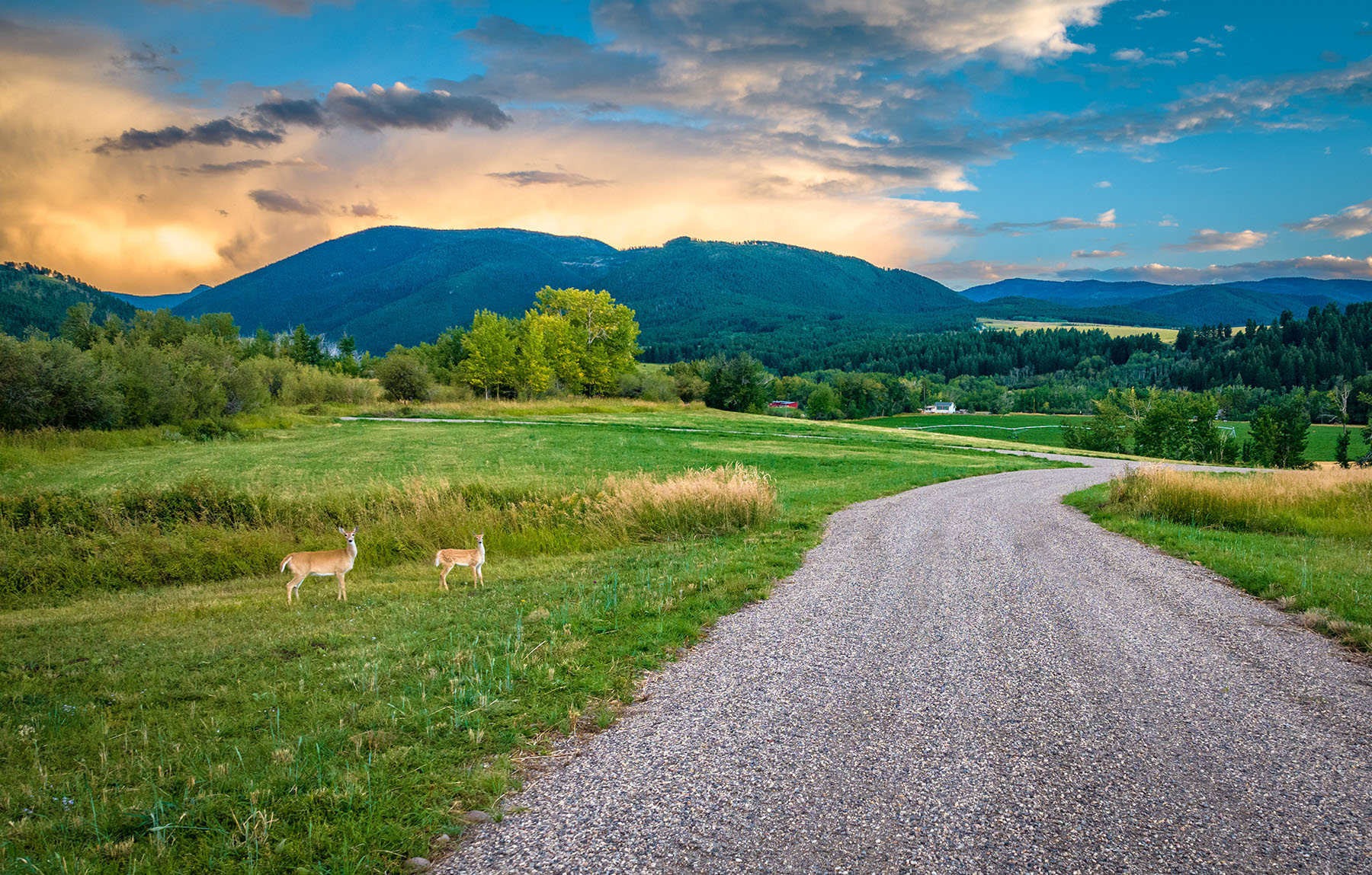 Kent Spur Ranch property picture 16 of 44