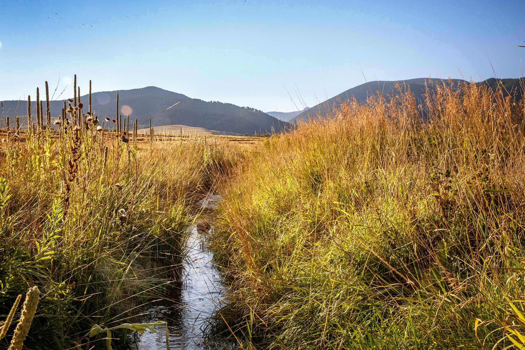 Kent Spur Ranch property picture 40 of 44