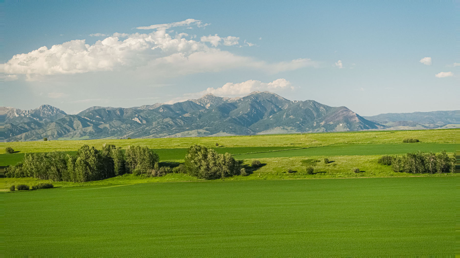 Kent Spur Ranch property picture 30 of 44