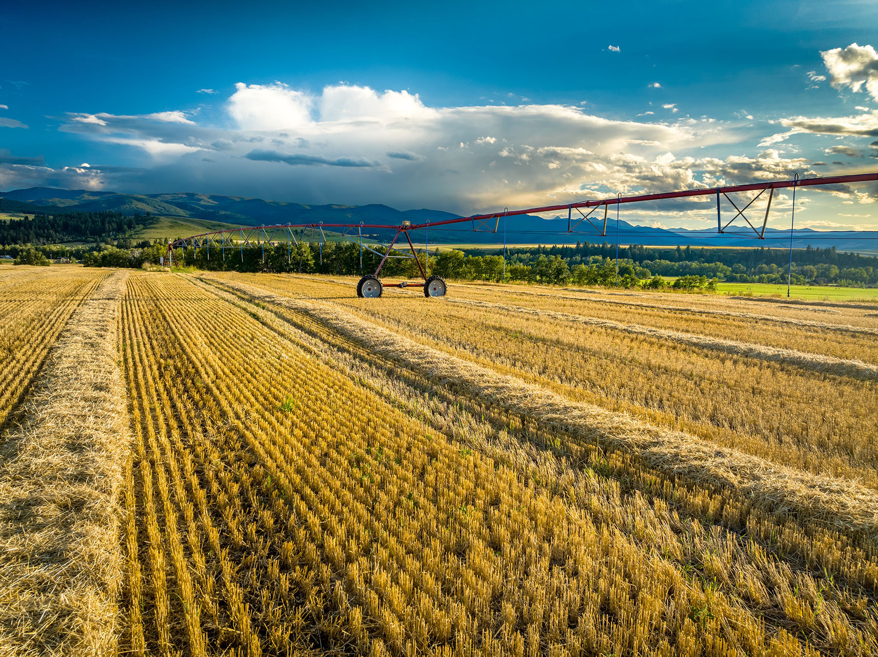 Kent Spur Ranch property picture 13 of 44