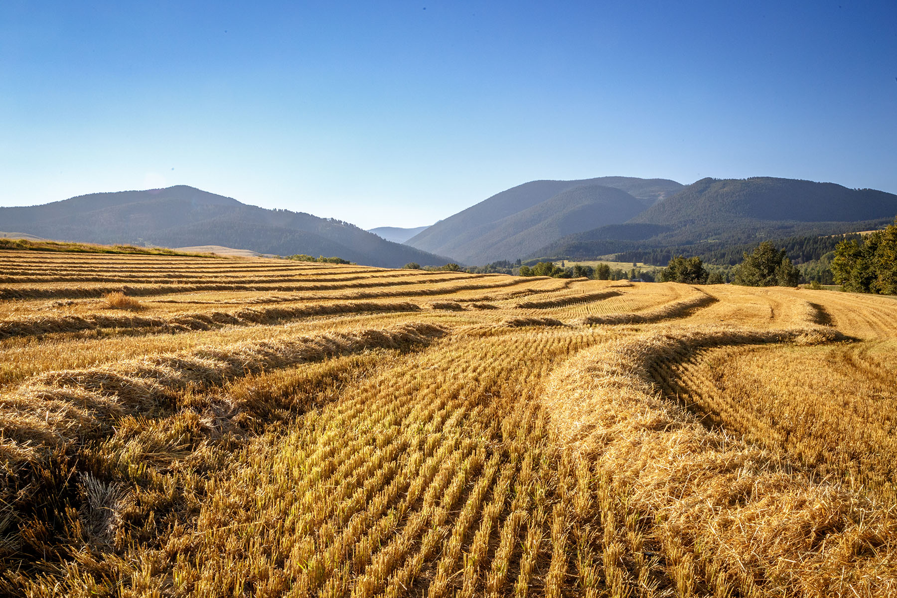 Kent Spur Ranch property picture 34 of 44