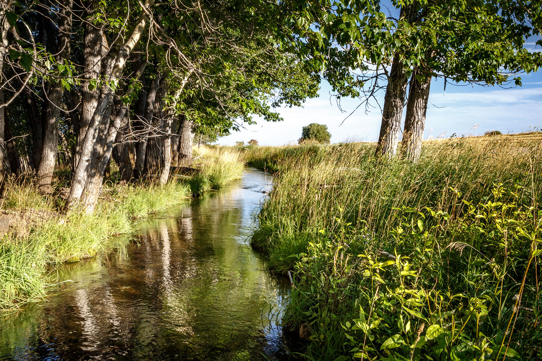 Kent Spur Ranch property picture 42 of 44
