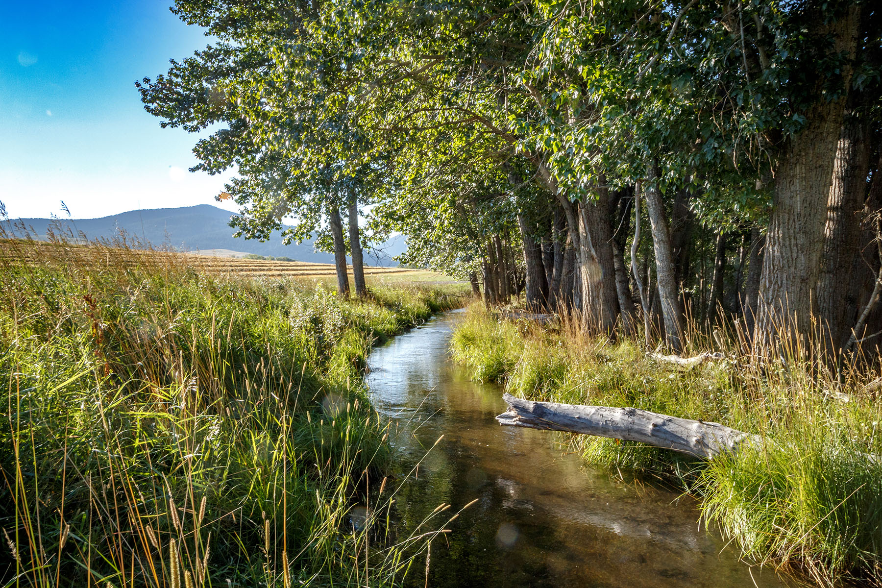 Kent Spur Ranch property picture 37 of 44