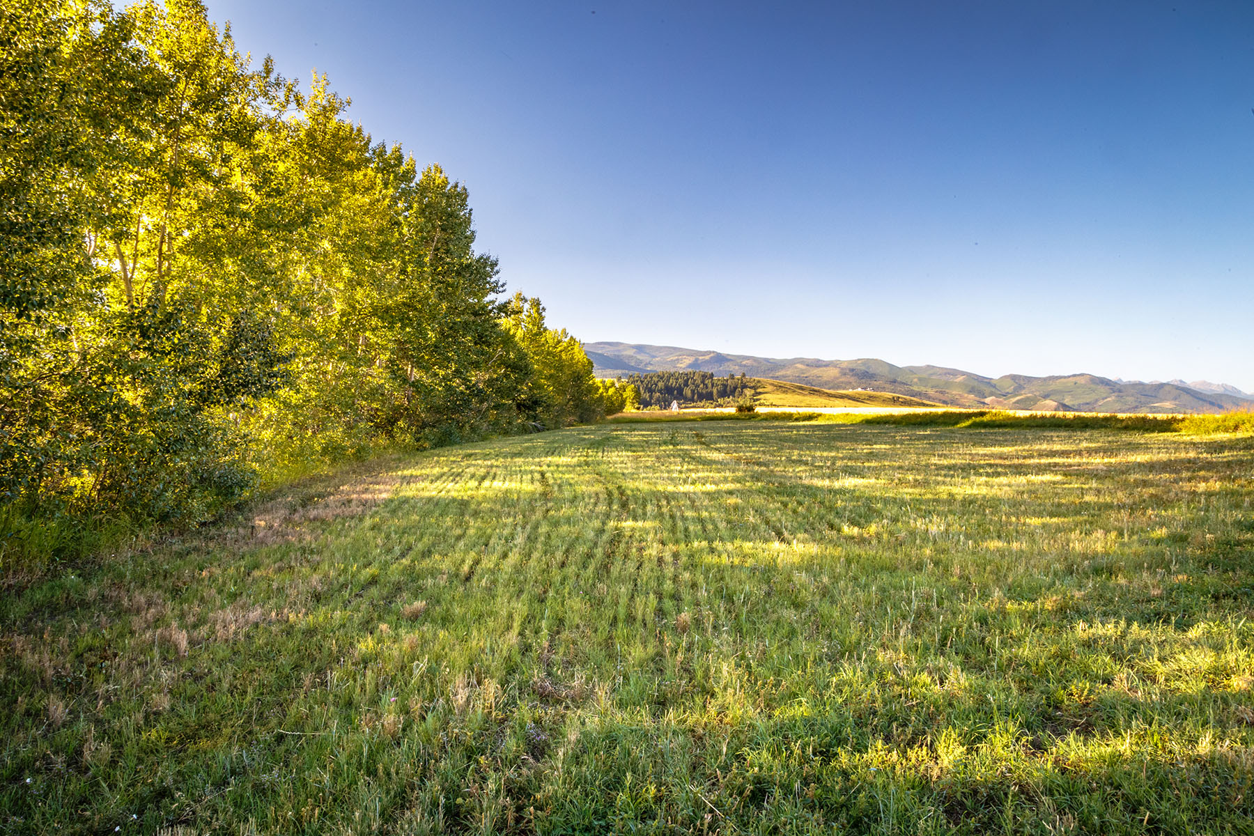 Kent Spur Ranch property picture 31 of 44