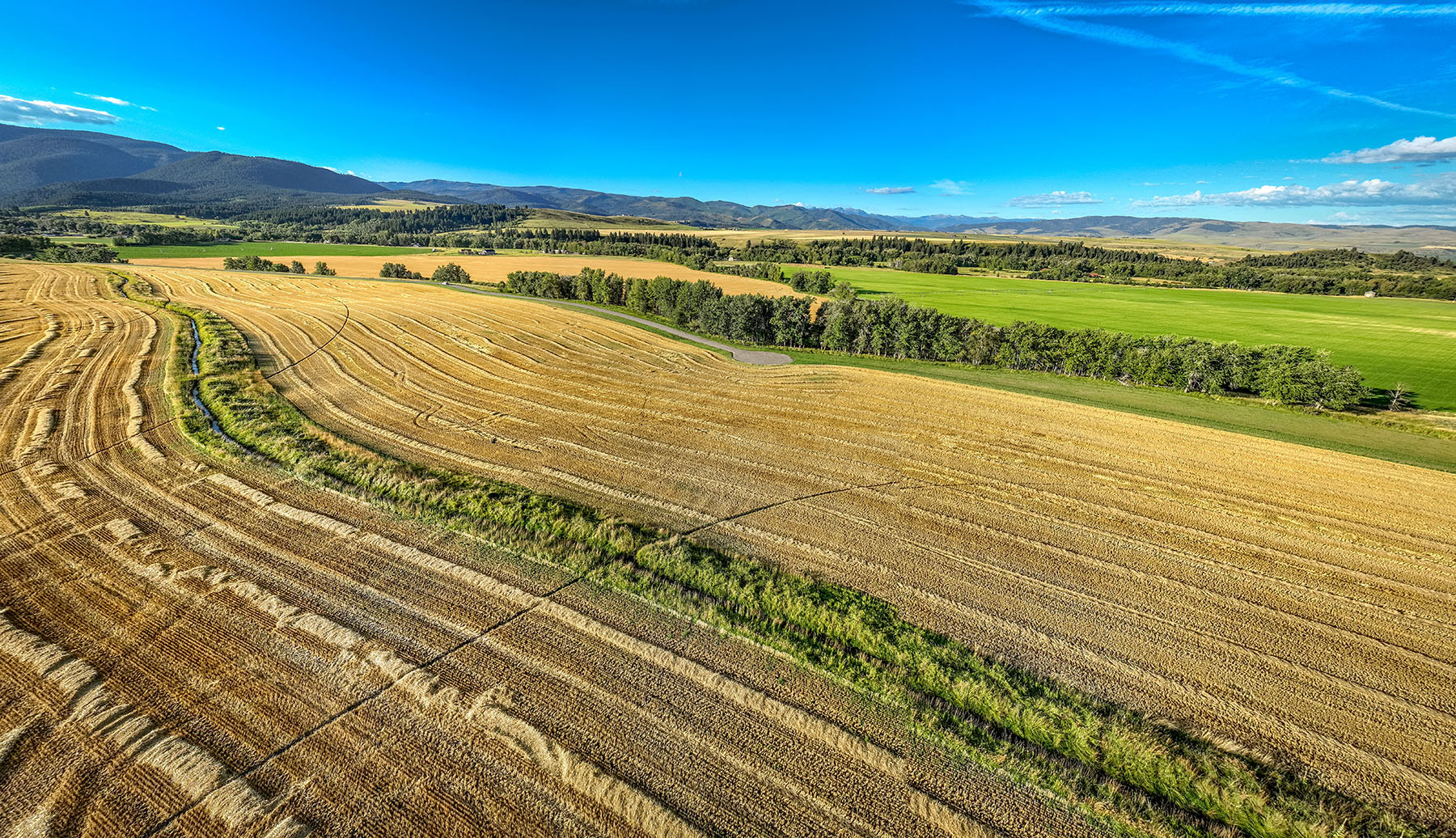 Kent Spur Ranch property picture 25 of 44