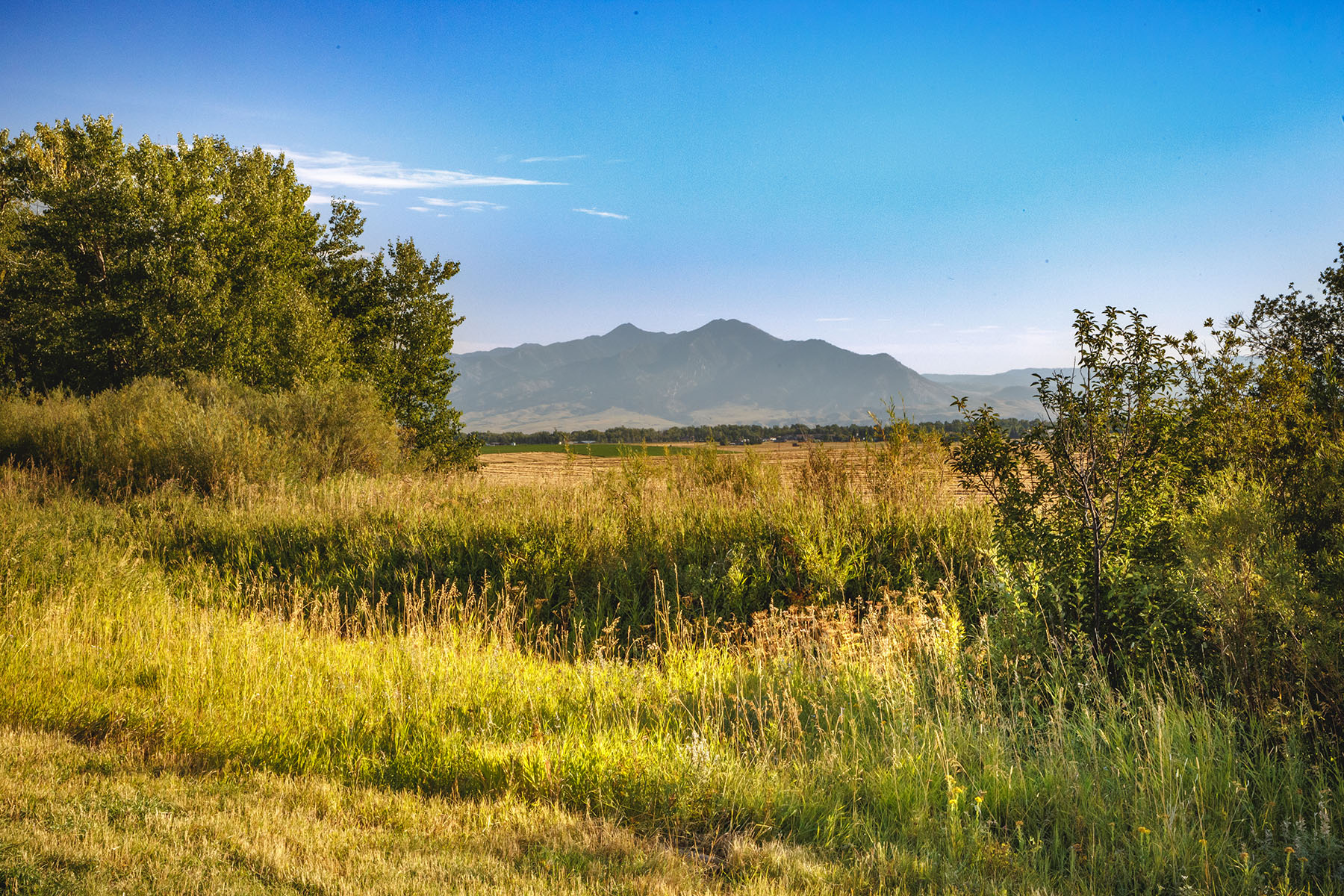 Kent Spur Ranch property picture 39 of 44