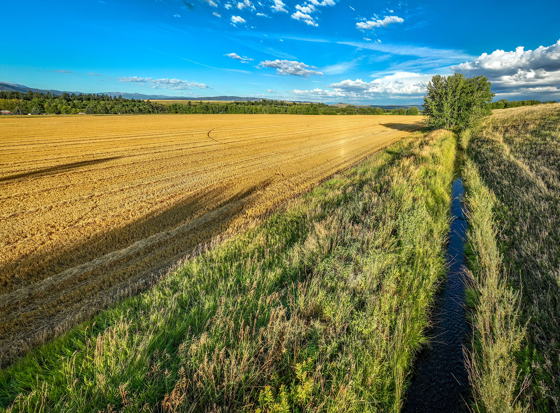 Kent Spur Ranch property picture 32 of 44