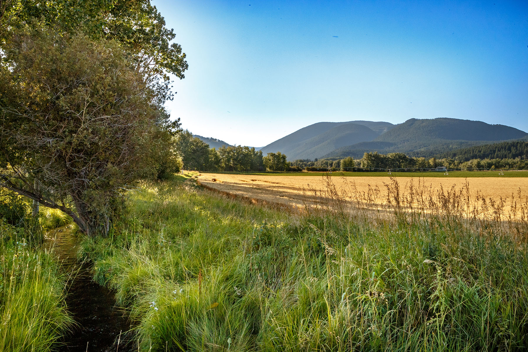 Kent Spur Ranch property picture 36 of 44