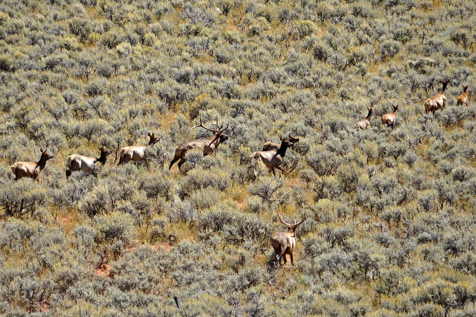 Three Springs Ranch property picture 61 of 82