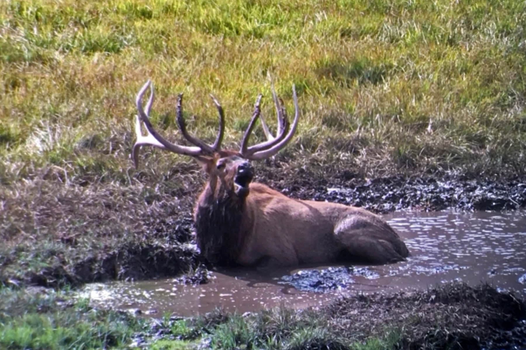 Three Springs Ranch Sold Colorado Hall and Hall