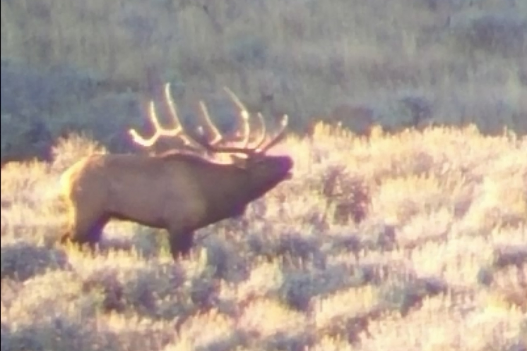 Three Springs Ranch property picture 47 of 82