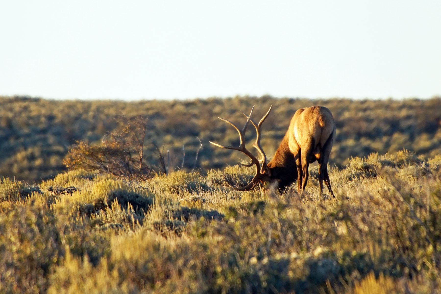 Three Springs Ranch property picture 50 of 82
