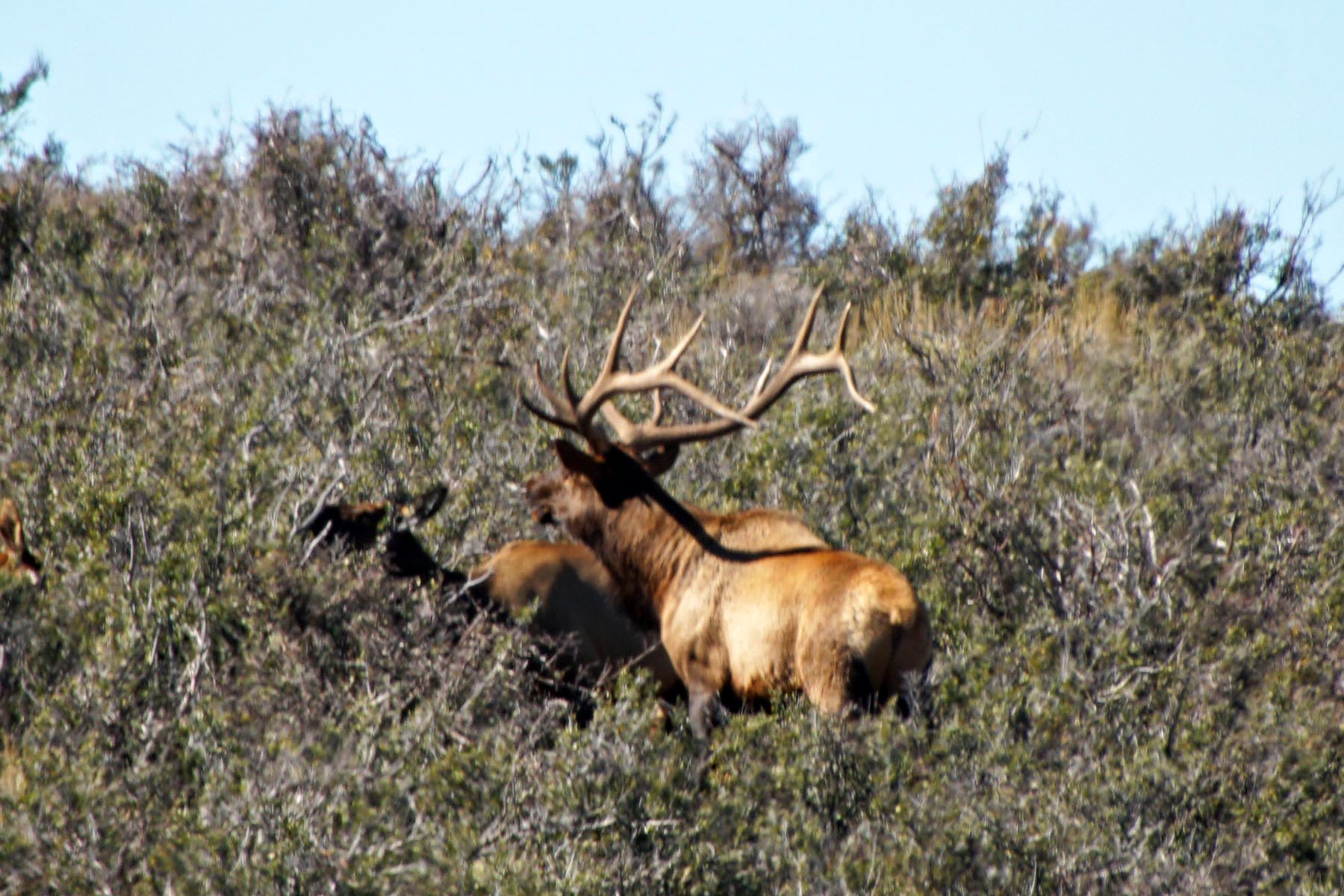 Three Springs Ranch property picture 56 of 82