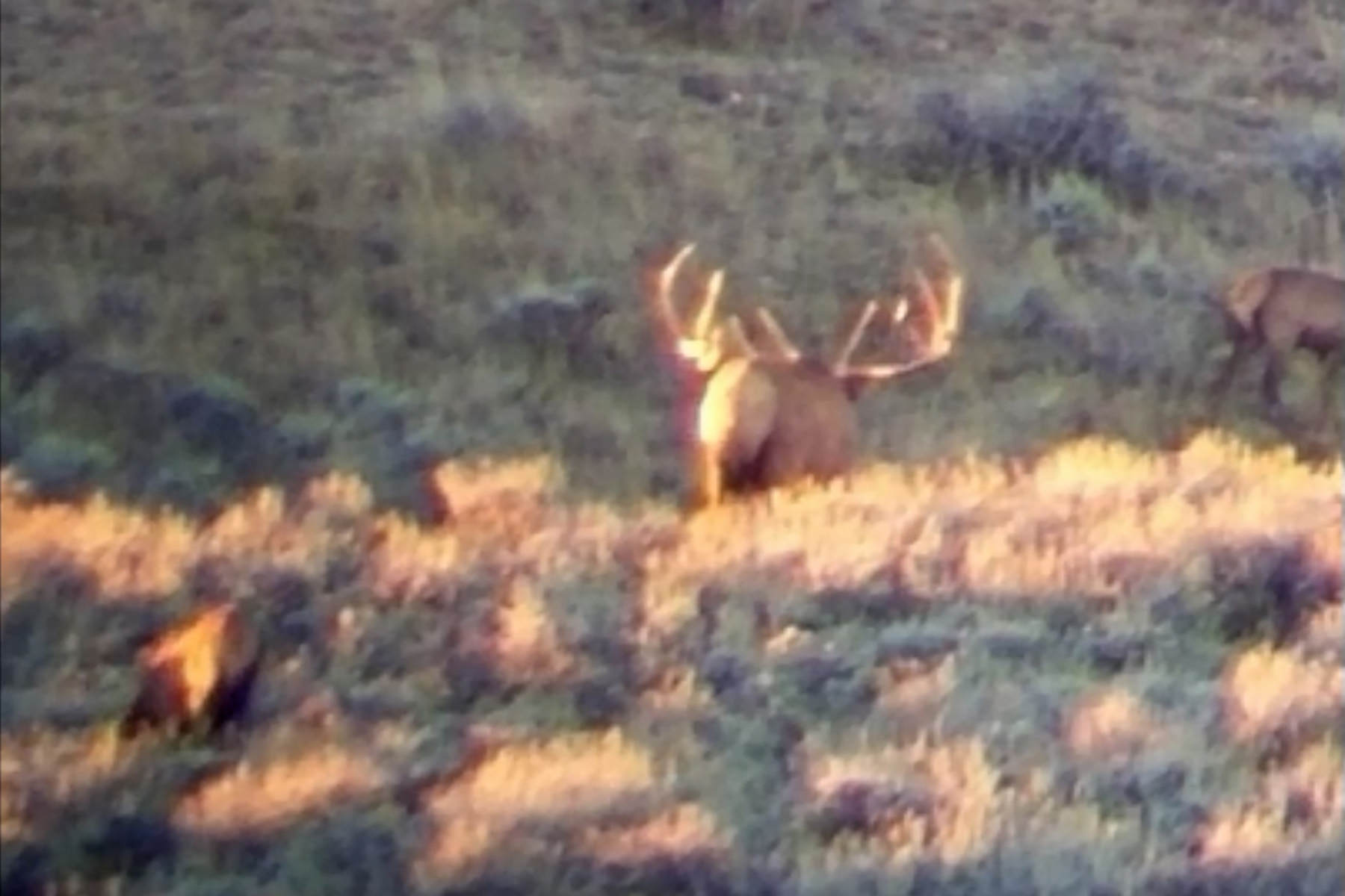 Three Springs Ranch property picture 14 of 82