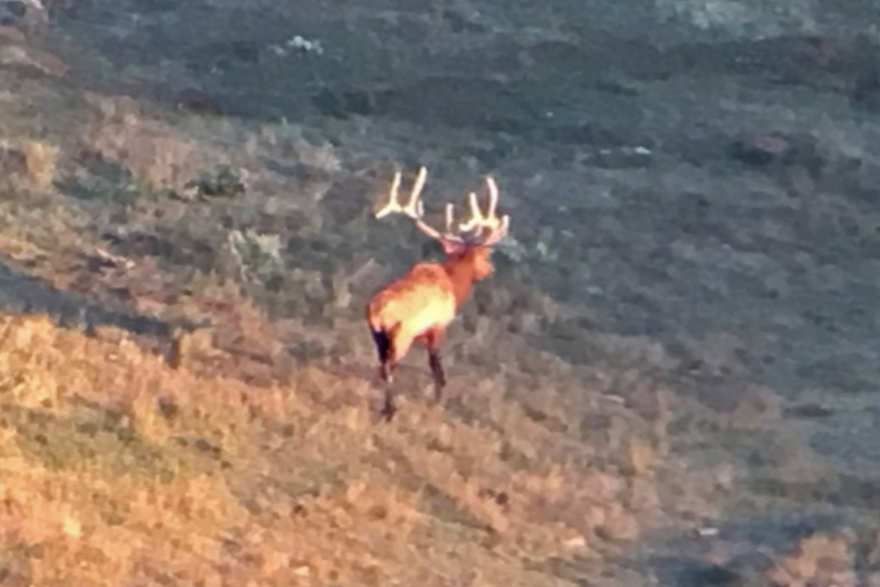 Three Springs Ranch property picture 59 of 82
