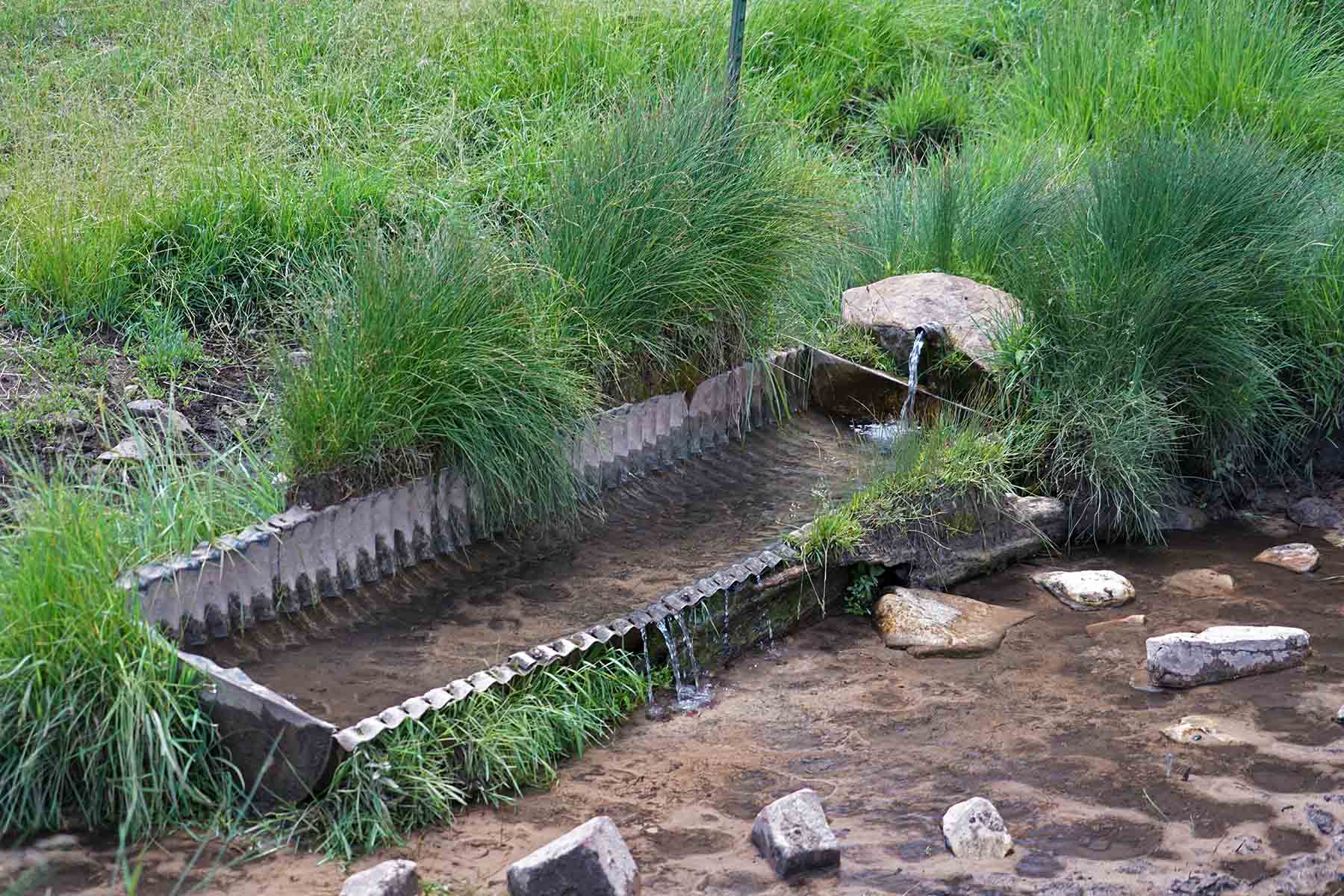 Three Springs Ranch property picture 25 of 82