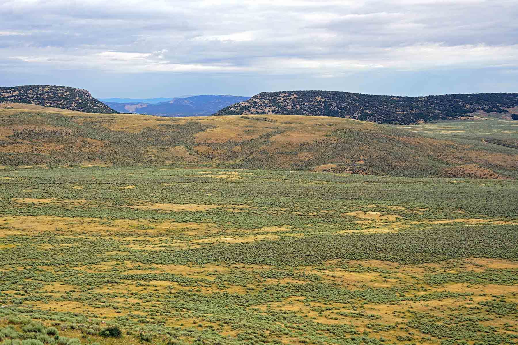 Three Springs Ranch property picture 36 of 82