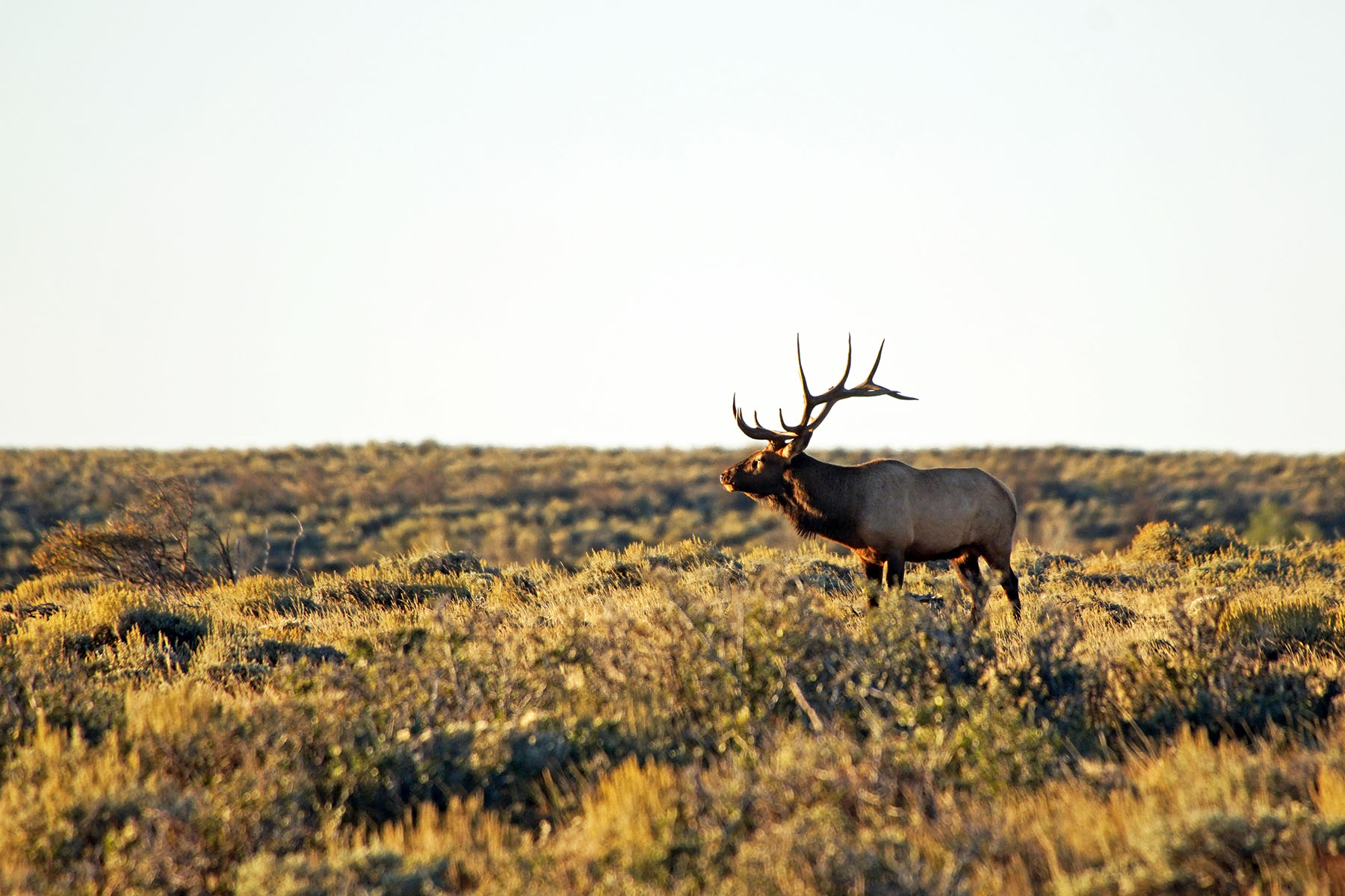 Three Springs Ranch property picture 20 of 82