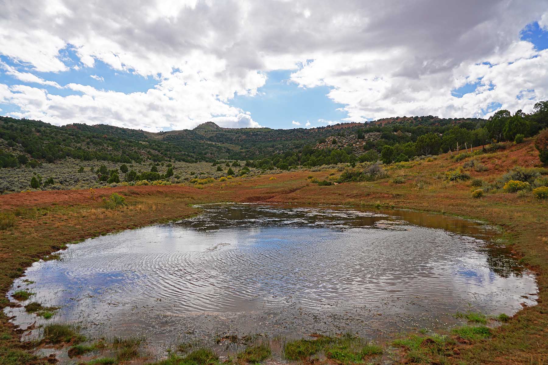 Three Springs Ranch property picture 12 of 82