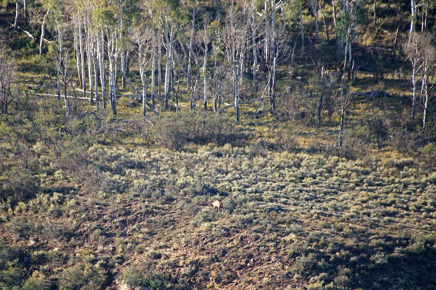 Three Springs Ranch property picture 31 of 82