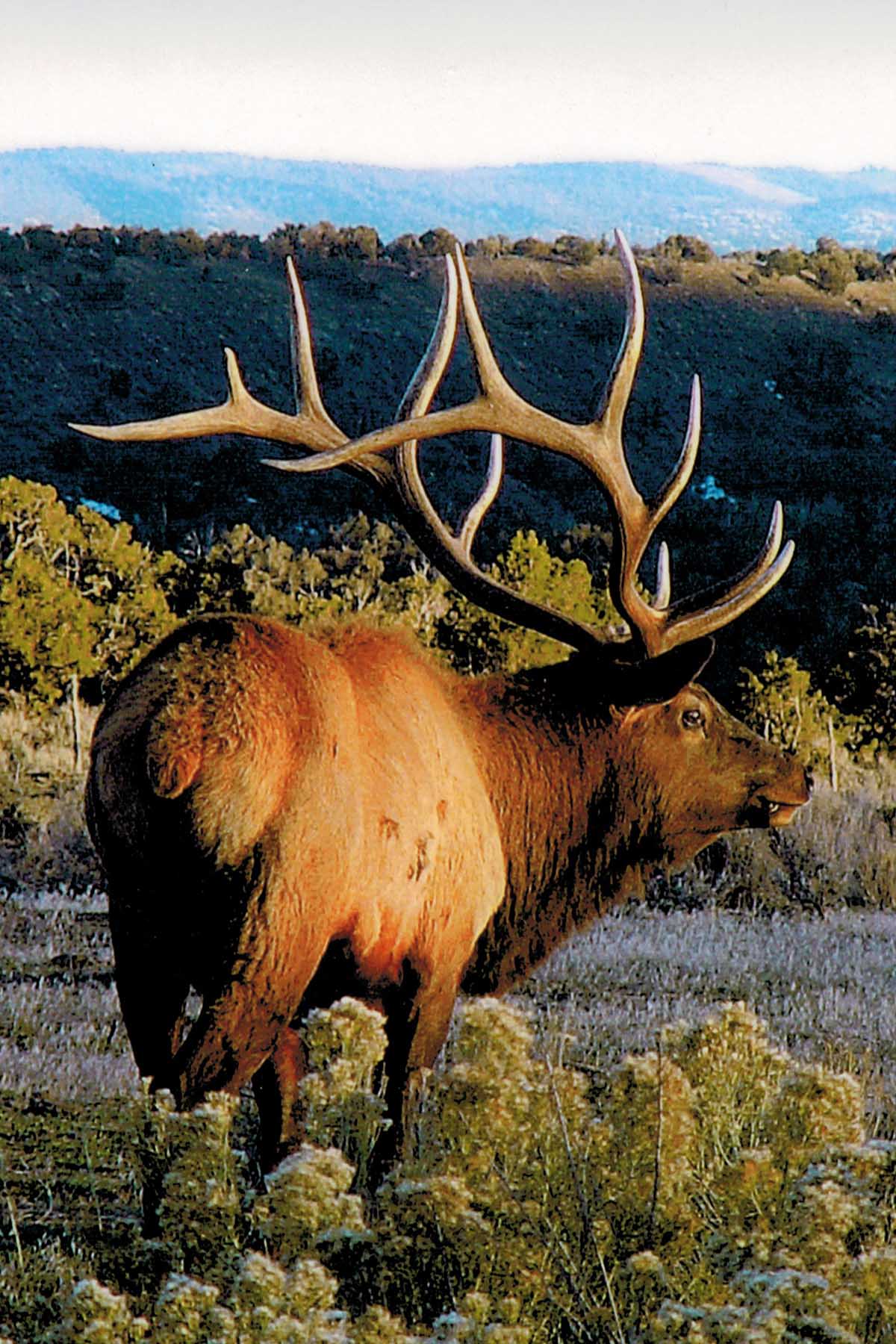 Three Springs Ranch property picture 26 of 82