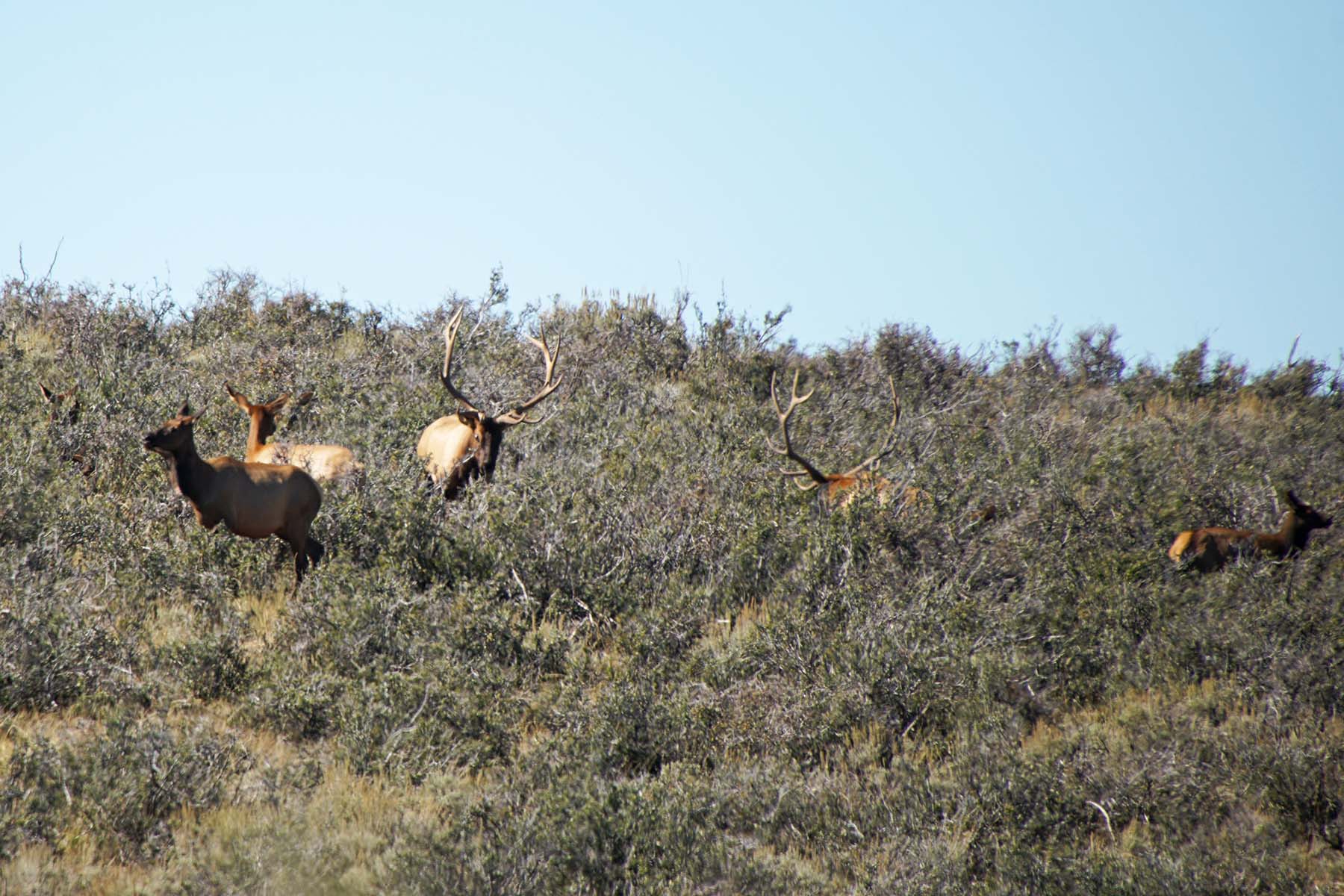 Three Springs Ranch property picture 19 of 82