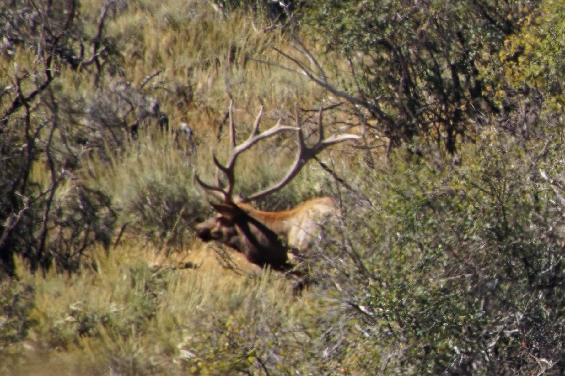 Three Springs Ranch property picture 35 of 82