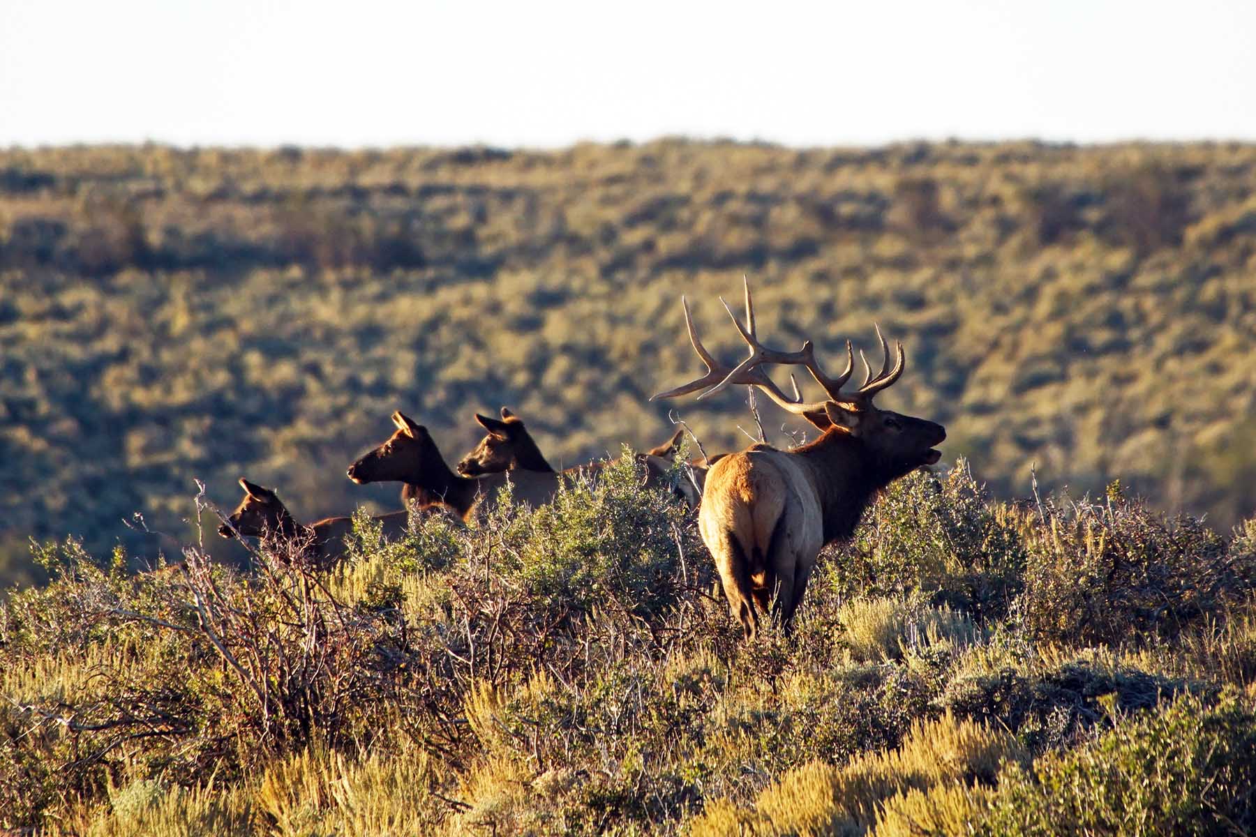 Three Springs Ranch property picture 51 of 82