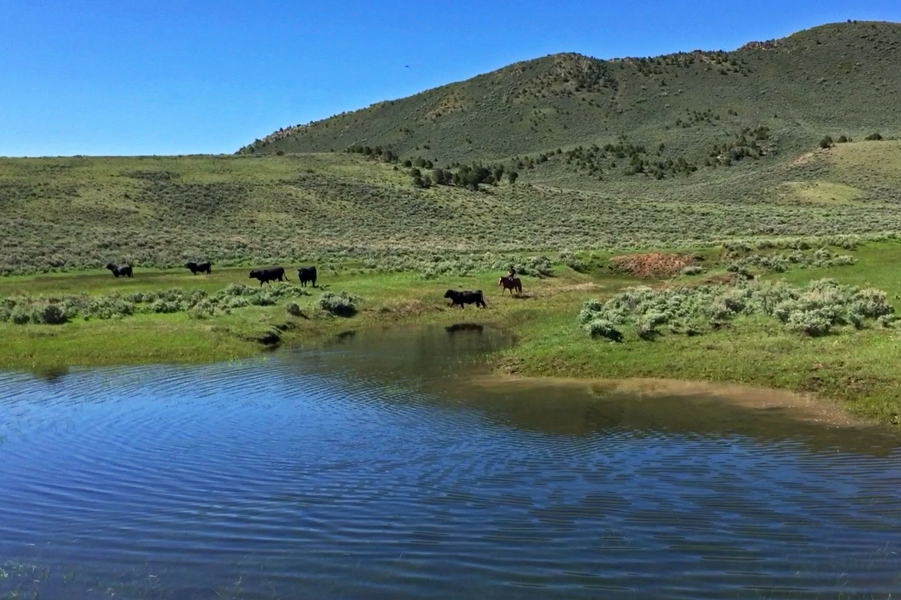 Three Springs Ranch property picture 6 of 82